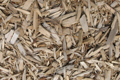 biomass boilers Ceos
